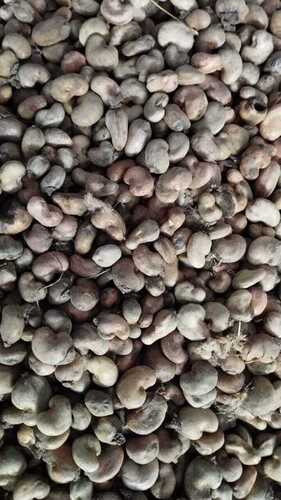 Black Cashew Nut