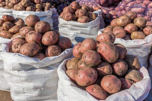 Common Rich In Carbohydrates Fresh Potato