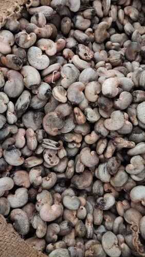 Organic Premium Nutritious Raw Cashew Nut