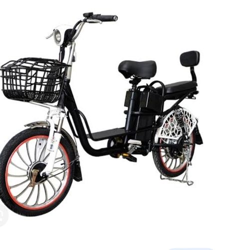 Heavy Duty Electric Bike