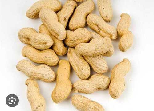 raw cashew