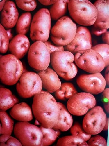 Red Potatoes 