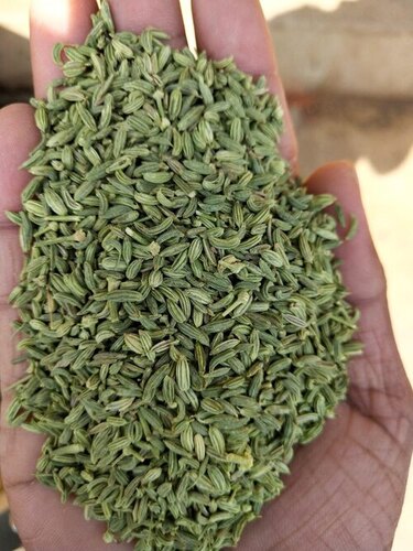Fennel Seed