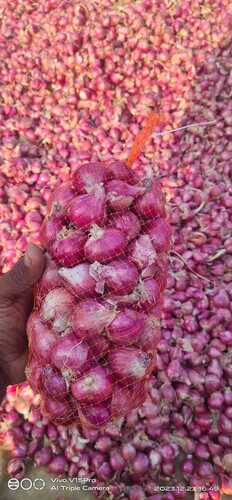 Red Onion - Long Shelf Life, Hygienically Packed and Quality Tested