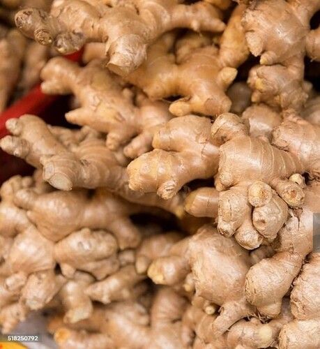 Fresh Ginger