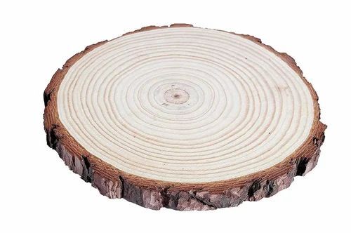 Big Size Natural Wood Log