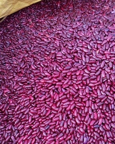 Commonly Cultivated Red Kidney Beans