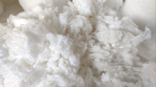 Good Quality White Bleached Cotton