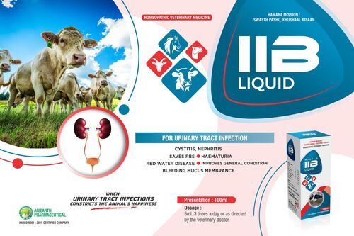 Iib Liquid