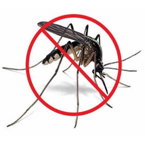 Mosquito Pest Control Services By Asika Enterprises