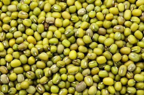 Mung Beans - Dried Green Pulses | Premium Quality Green Mung Beans