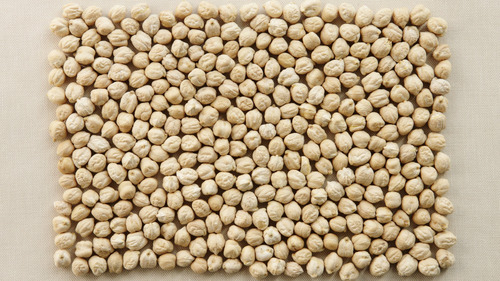 White Chickpeas - Fresh, Round, White Color | Rich in Taste, Healthy and Nutritious for Cooking