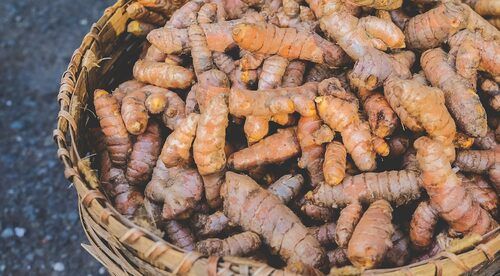 100% Pure Organic Natural A Grade Turmeric Seeds