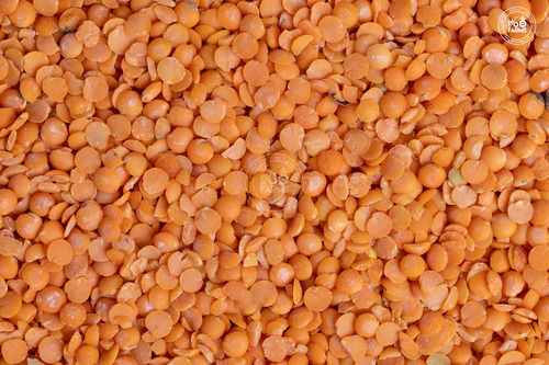 Organic A Grade Red Masoor Dal