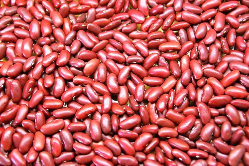 100% Natural And Pure Organic Red Kidney Bean