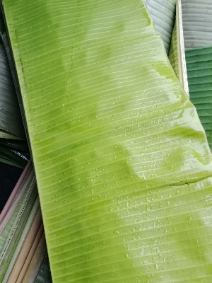 Banana Leaf Plate