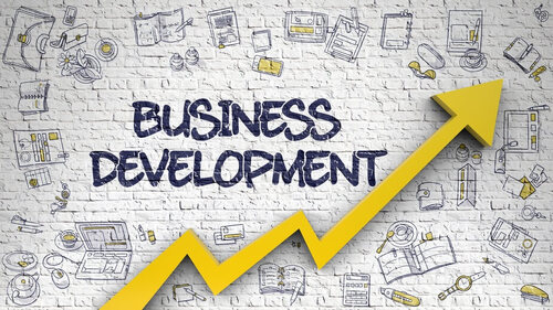 Business Development Services For Individual Consultant