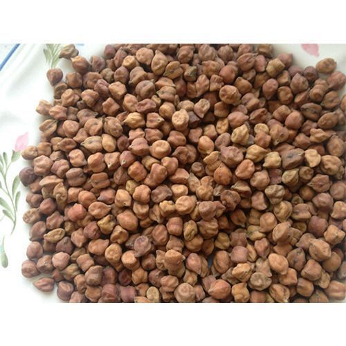 A Grade Common Cultivated Indian Origin 100 Percent Purity Dried Brown Desi Chana