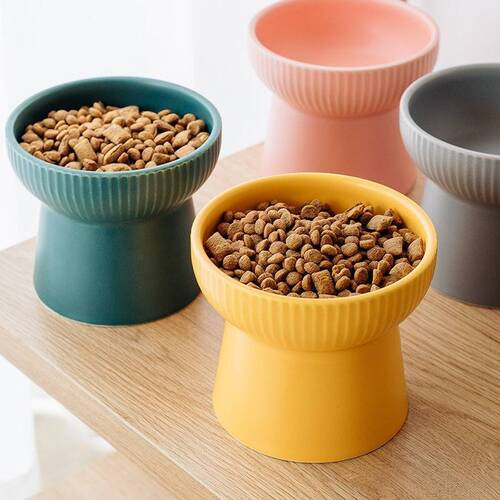 pet feed bowl                           