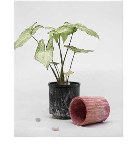 Eco-Friendly Plastic Plant Pot