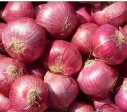 Red And Yellow Onion