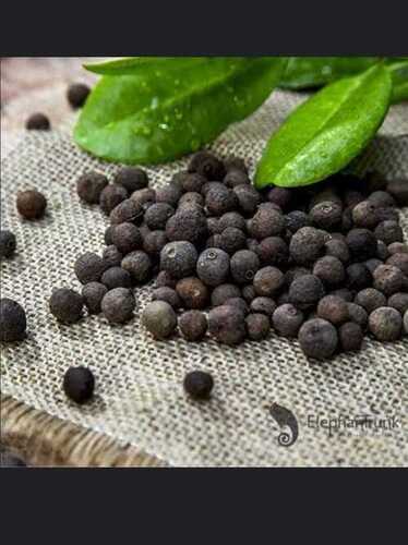 Natural Dried Black Pepper Seed (Jamaica Pepper Seed