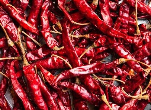 Intesely Hot And Spicy Red Chillies