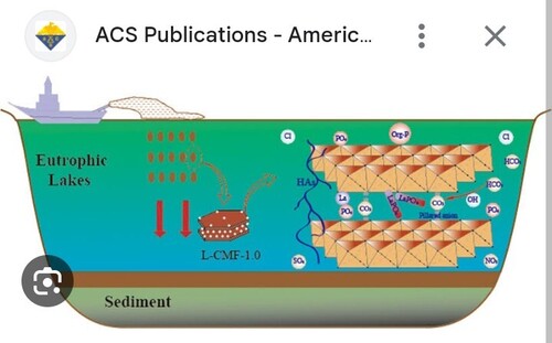 vactirial sample