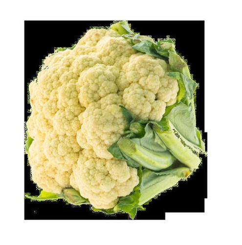 CAULIFLOWER