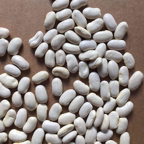 French Beans Seeds - 100% Pure, Hygienically Packed | Long Shelf Life, Timely Delivery, Quality Tested