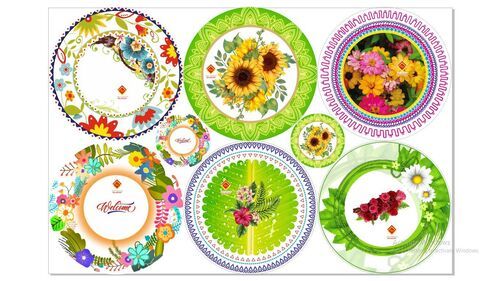 Round Shape Paper Plate