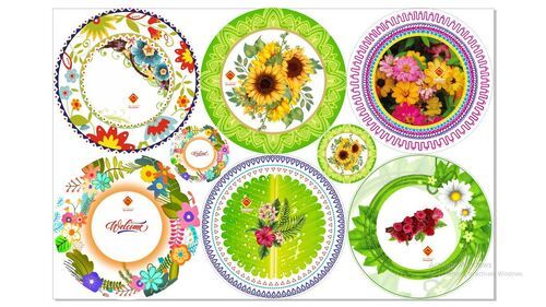 Round Shape Designer paper Plate