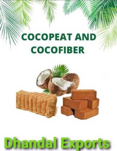 cocopeat and cocofiber 