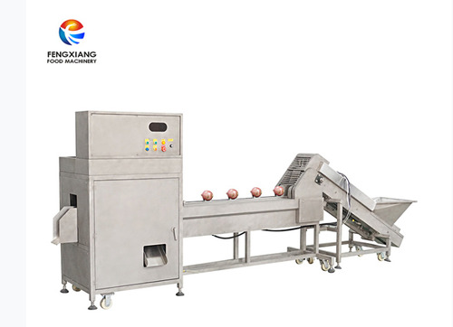 Commercial Adjustable Speed Onion Head And Tail Cutting Machine - Feature: High Efficiency