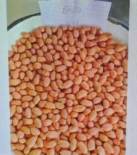 100% शुद्ध और जैविक A ग्रेड मूंगफली