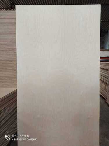 17mm Bwr Brich Plywood Boards