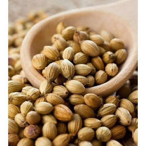 Dried Coriander Seeds