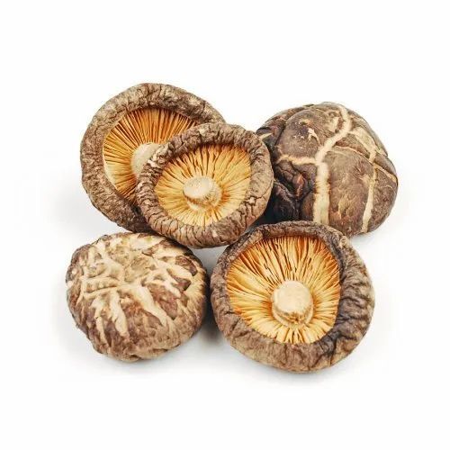 100% Organic A Grade Natural Shiitake Mushroom