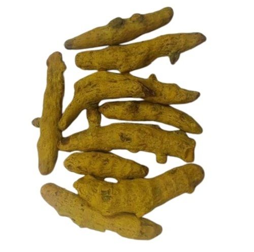 Dried Selam Turmeric Finger