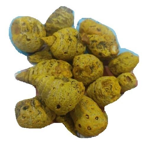 Indian Origin Selam Dried Turmeric Gatta Bulb