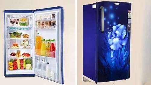 Floral Printed Single Door Refrigerator