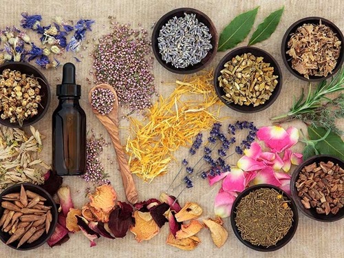 Herbal Medicine