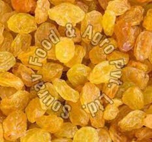 Yellow Seedless Raisins