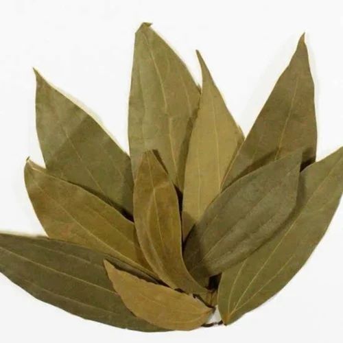 100% Organic A Grade Natural Bay Leaves