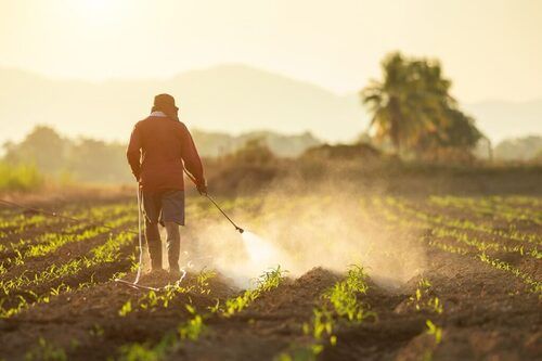 Pesticides