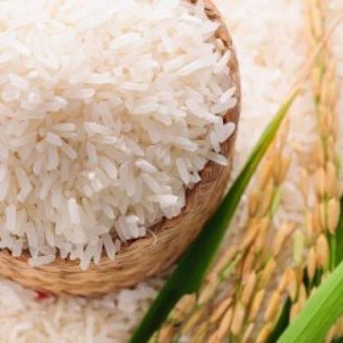 Raw White Rice