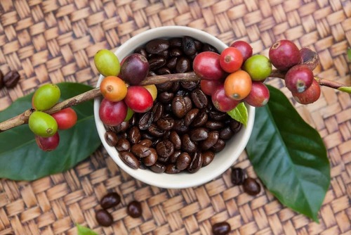 coffee beans product 