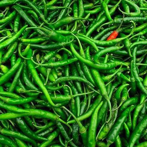 Green Chilli