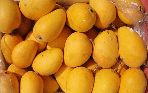 Natural Fresh Yellow Mango