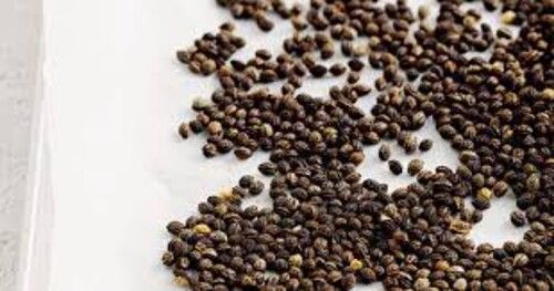 100% Organic Papaya Seeds